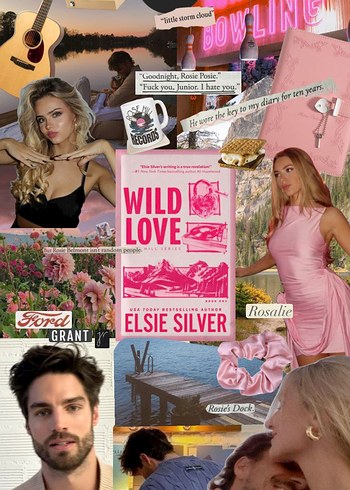 Wild Love - Elsie Silver Roman - Görsel 2