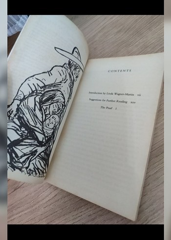 John Steinbeck - The Pear - Görsel 5