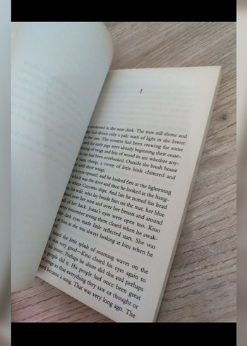 John Steinbeck - The Pear - Görsel 6