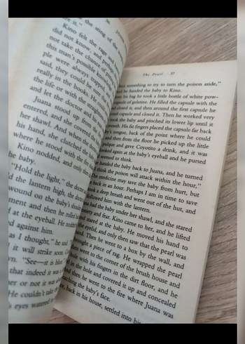 John Steinbeck - The Pear - Görsel 7