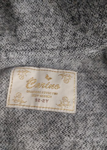 Gri Kapüşonlu Düğmeli Kaban - Görsel 4