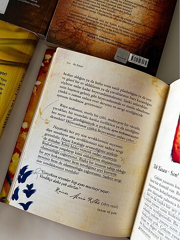  Beden The secret kitap serisi