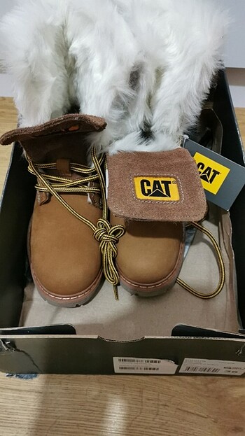 Cat Cat bot