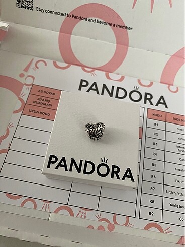 Pandora family kalpli charm