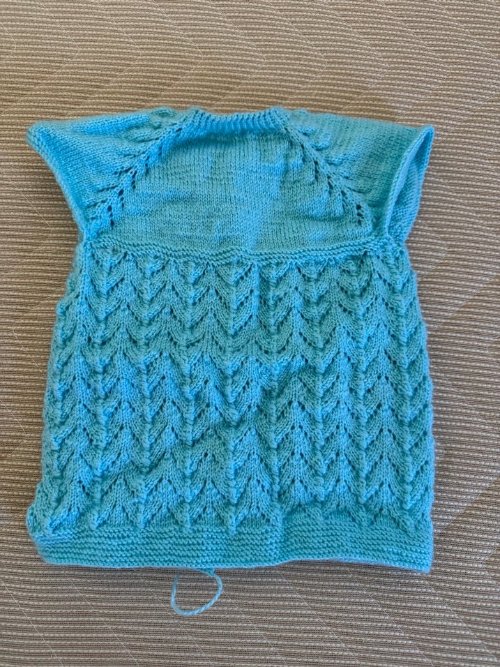 Örgü bebek yeleği 0-1 yaş arası - Görsel 2