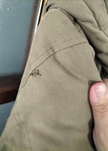 Bershka uzun parka - Görsel 13