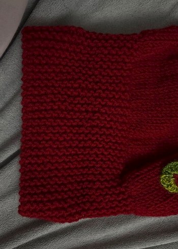 Renkli Kadın Örgü Bere - Görsel 2