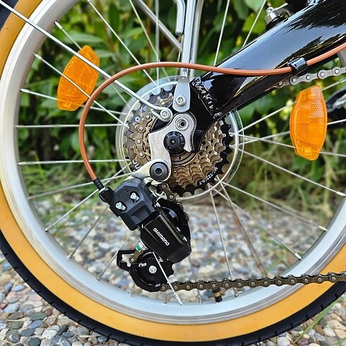Beden siyah Renk Bianchi New Vintage Katlanır bisiklet