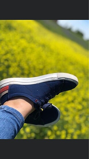 Polo spor