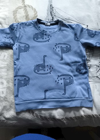 Erkek çoçuk sweat - Görsel 15