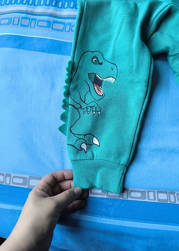 Renkli Baskılı Kapüşonlu Erkek Takım takım fiyatı 450 - Görsel 12