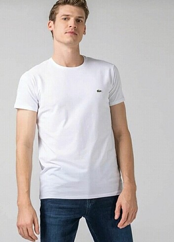 Lacoste Lacoste erkek t-shirt