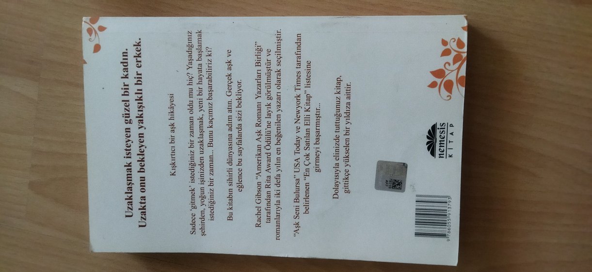 ROMAN(Aşk seni bulursa) - Görsel 2