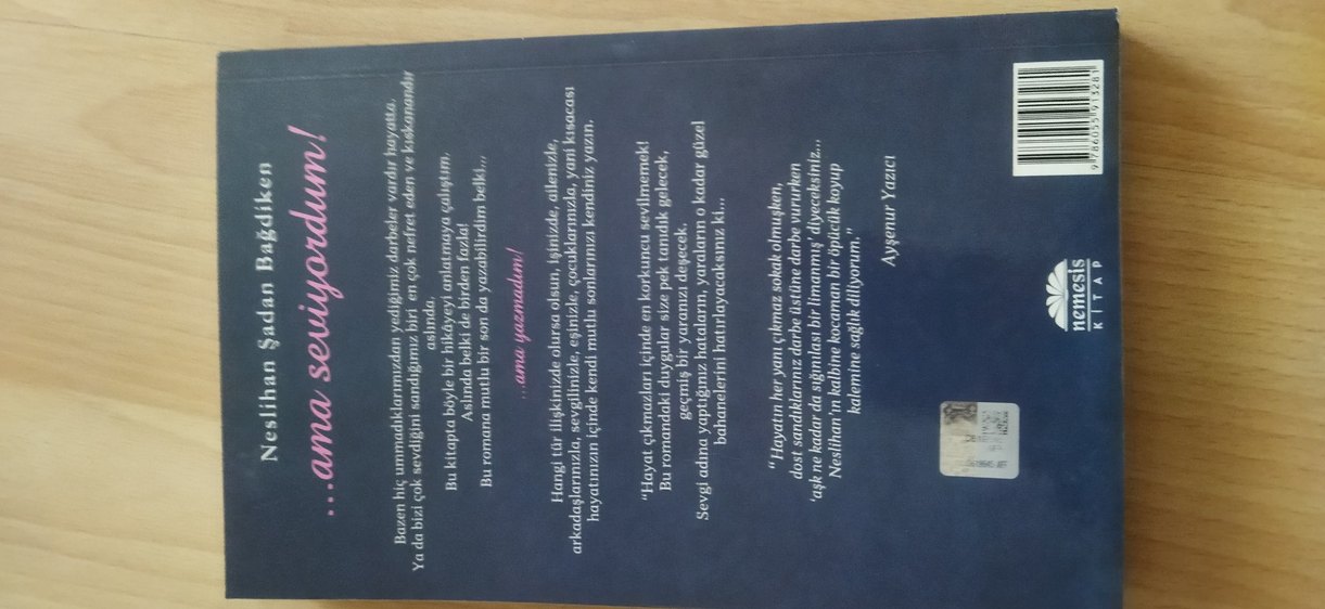 ROMAN(Ama seviyordum) - Görsel 2