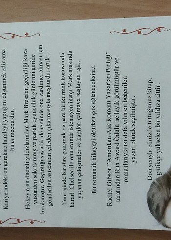 ROMAN(Aşk yeniden) - Görsel 2