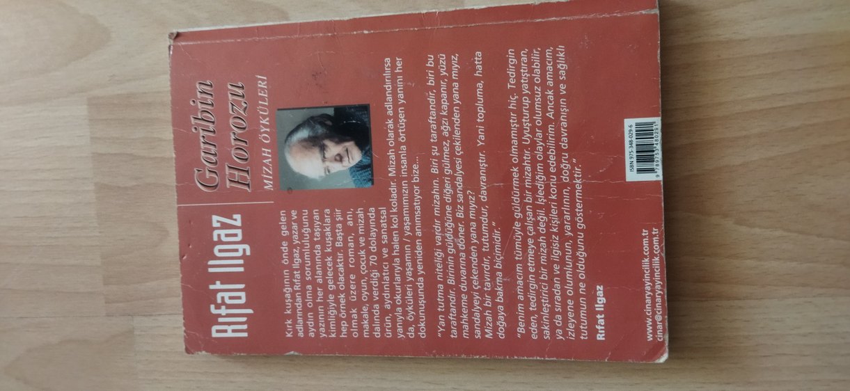 ROMAN(Garibin Horozu) - Görsel 2