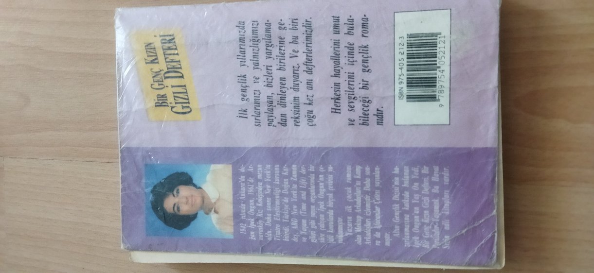 ROMAN(Bir genç kızın gizli defteri) - Görsel 2