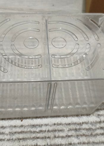 akvaryum yavruluk - Görsel 4