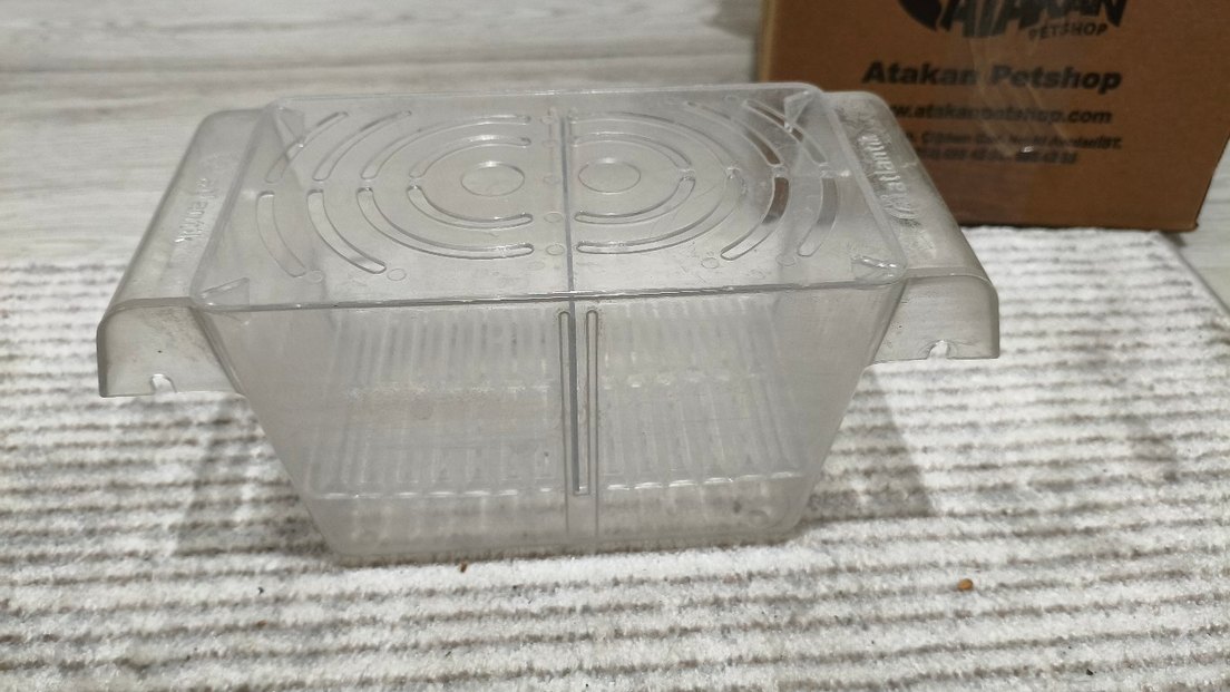 akvaryum yavruluk - Görsel 3