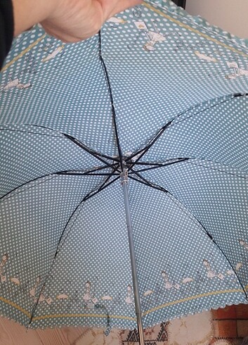  Beden Kadın şemsiye