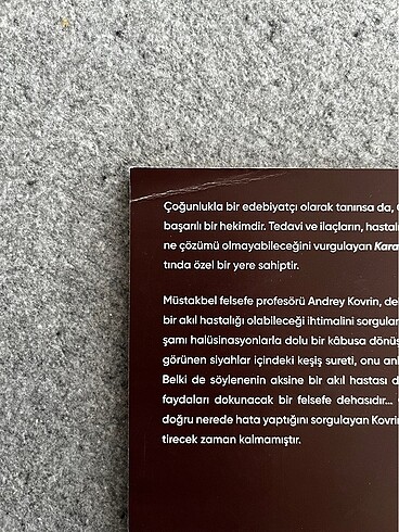 Kara Keşiş Anton Çehov - Görsel 4