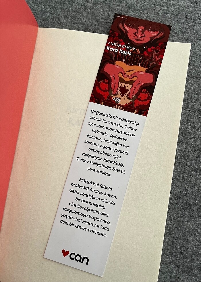 Kara Keşiş Anton Çehov - Görsel 3