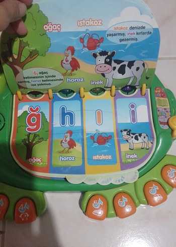 Renkli Öğretmenim Kaplumbağa Eğitim Oyuncağı - Görsel 4