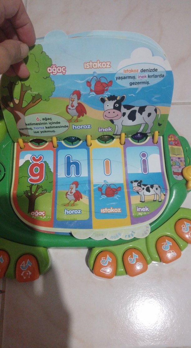 Renkli Öğretmenim Kaplumbağa Eğitim Oyuncağı - Görsel 4