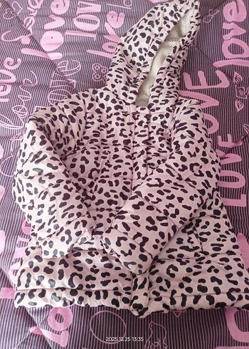 Armando D'Alessandro 24-36 Ay