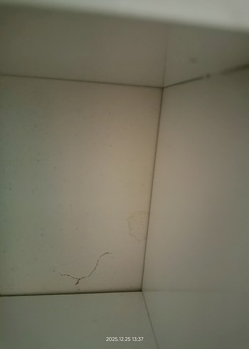 KUPA RAFI - Görsel 3