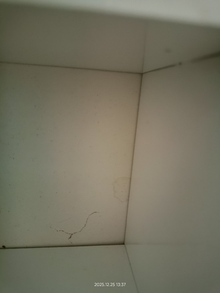 KUPA RAFI - Görsel 3