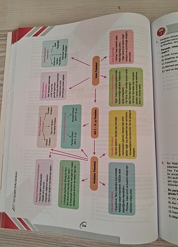 Beden Bilgi sarmal felsefe