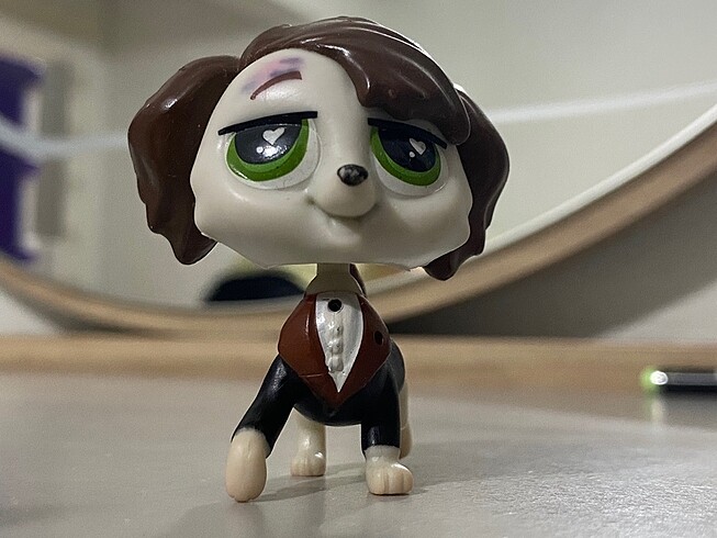LPS köpek miniş