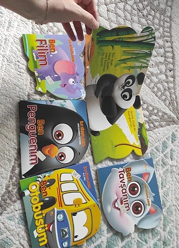 6 kitap 