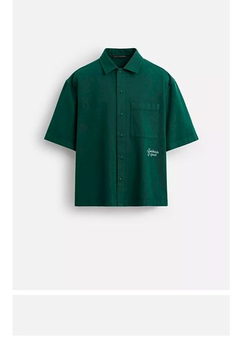 l/xl Beden Zara erkek gömlek