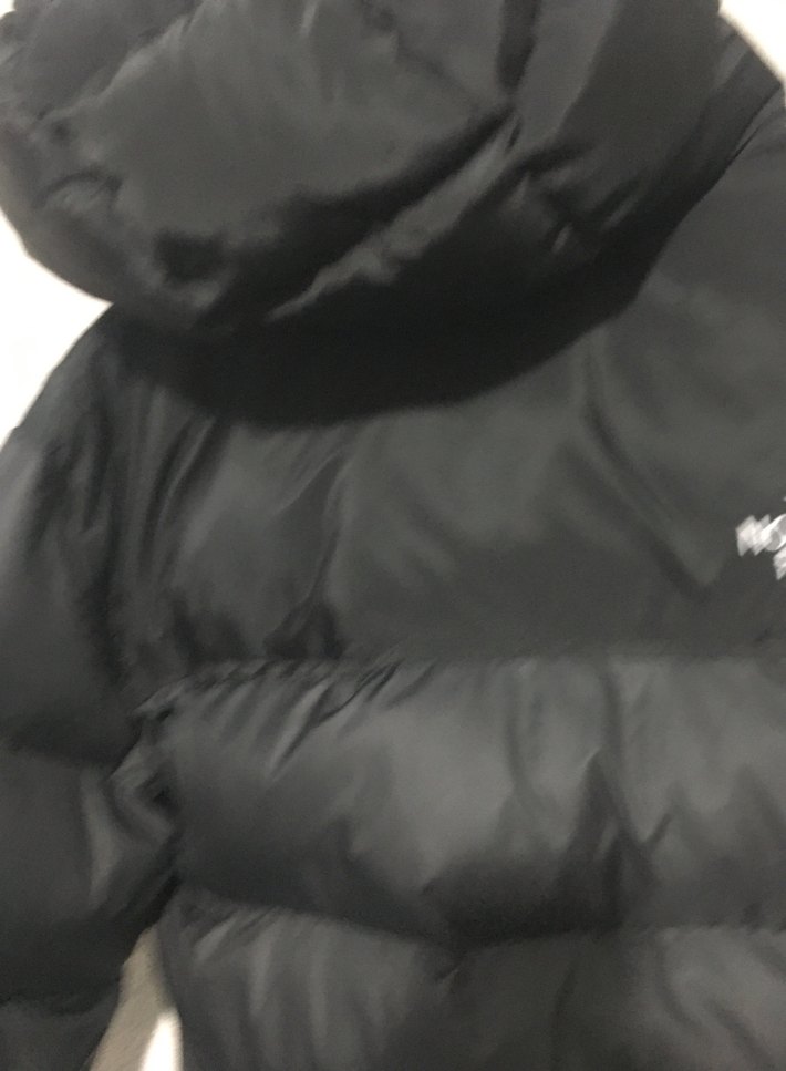 The North Face Siyah Fermuarlı Mont - Görsel 4