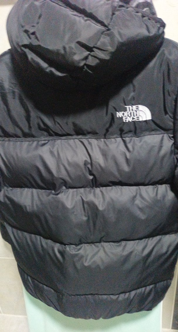 The North Face Siyah Erkek Yelek - Görsel 2