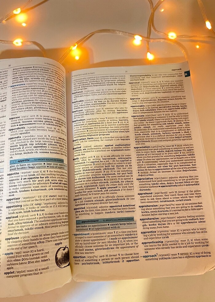 Cambridge Üniversitesi İngilizce Türkçe sözlük - Görsel 5