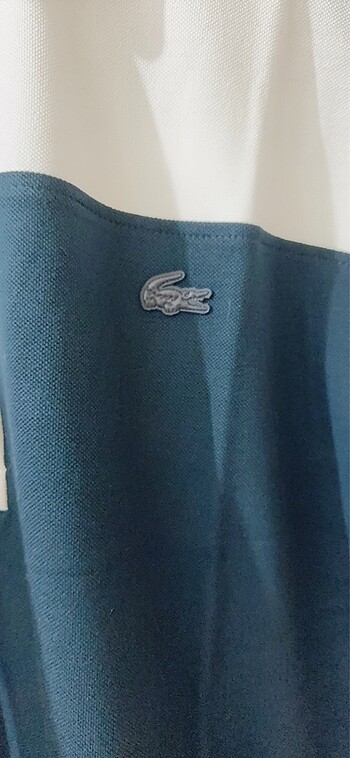 l Beden Lacoste elbise
