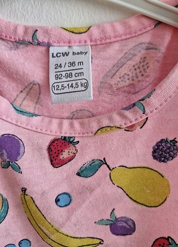 24-36 Ay Beden çeşitli Renk Lcw elbise