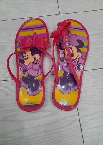 Walt Disney World 40