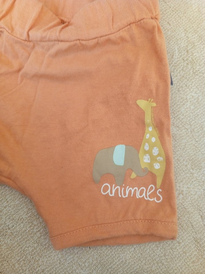 Bebek Erkek Hayvan Desenli Kısa Kollu Takım - Görsel 4