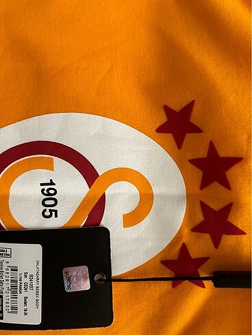 Galatasaray Orijinal gs stroy zıbın