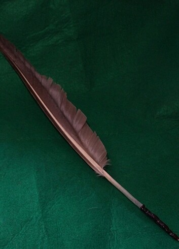 Tüy Kalem