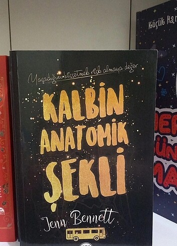  Kalbin anatomik şekli 