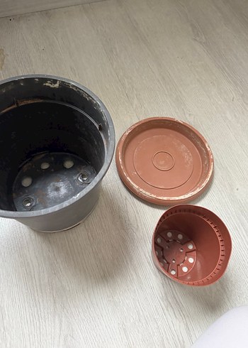 Saksılar - Görsel 4