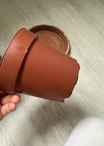 Saksılar - Görsel 6