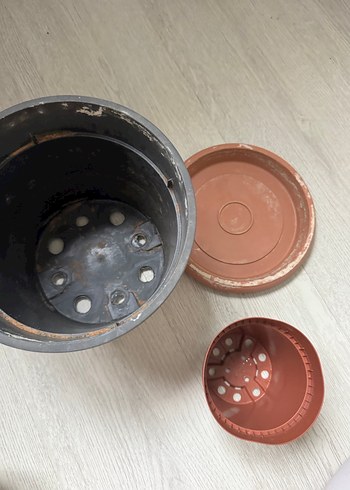 Saksılar - Görsel 8