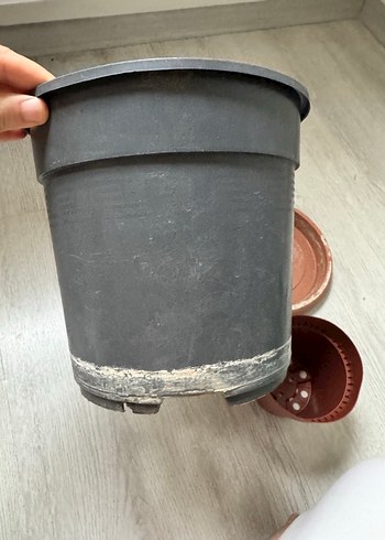 Saksılar - Görsel 3