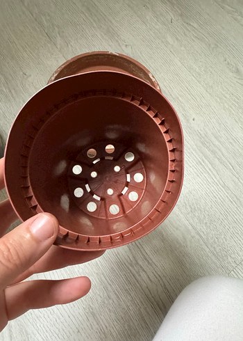 Saksılar - Görsel 5